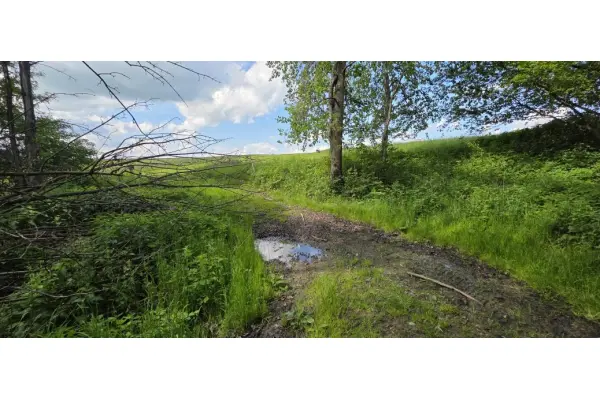 nowotarski, Czarny Dunajec, Czerwienne, działka Na Podhalu
