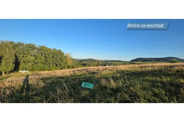 limanowski, Limanowa, Siekierczyna, Beskid, działka 5900 m2