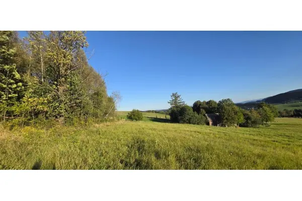 limanowski, Limanowa, Siekierczyna, Beskid, działka 88 ar