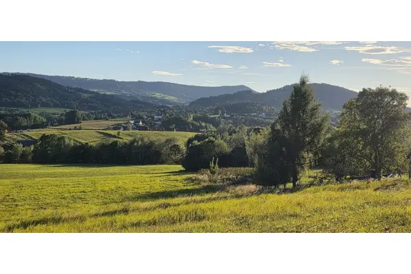 limanowski, Limanowa, Siekierczyna, Beskid, działka 88 ar
