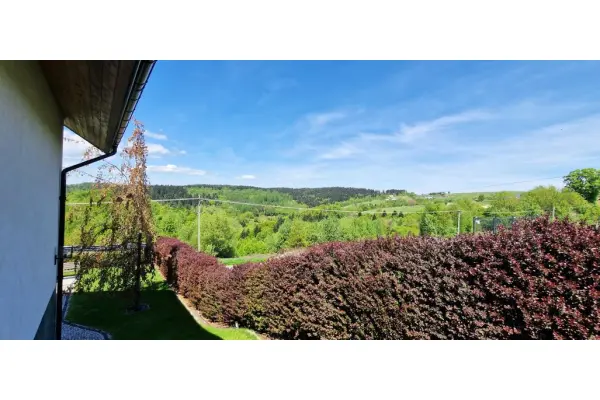 Nowy Sącz, przedmieścia Nowego Sącza - Paszyn