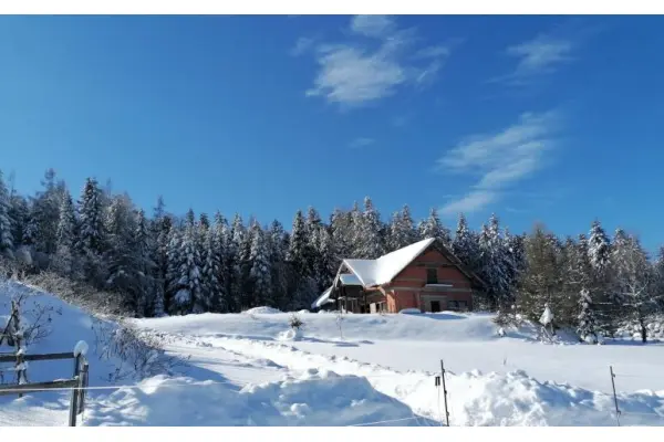 nowosądecki, Krynica-Zdrój, Cichy Kącik, duża działka pod Krynicą Zdrój