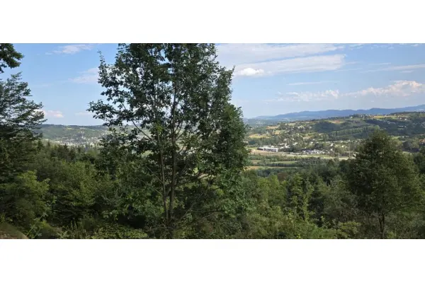 Nowy Sącz, Działka na sprzedaż