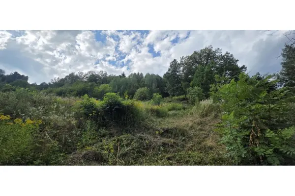 Nowy Sącz, Działka na sprzedaż