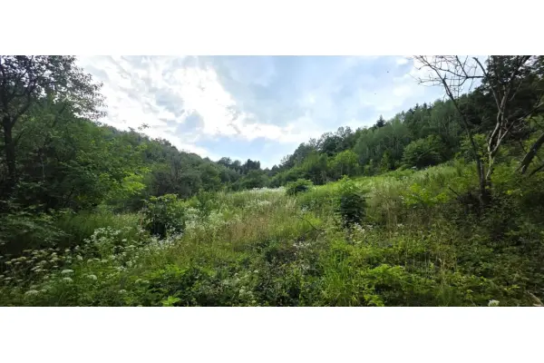 Nowy Sącz, Działka na sprzedaż