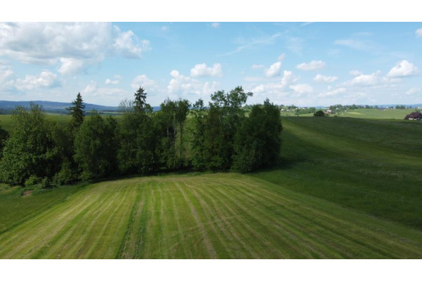 nowotarski, Czarny Dunajec, Czerwienne, Podhale działka budowlano - rolna