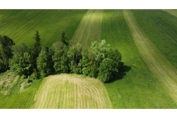 nowotarski, Czarny Dunajec, Czerwienne, Podhale działka budowlano - rolna