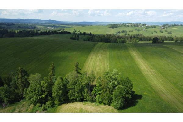 nowotarski, Czarny Dunajec, Czerwienne, Podhale działka budowlano - rolna