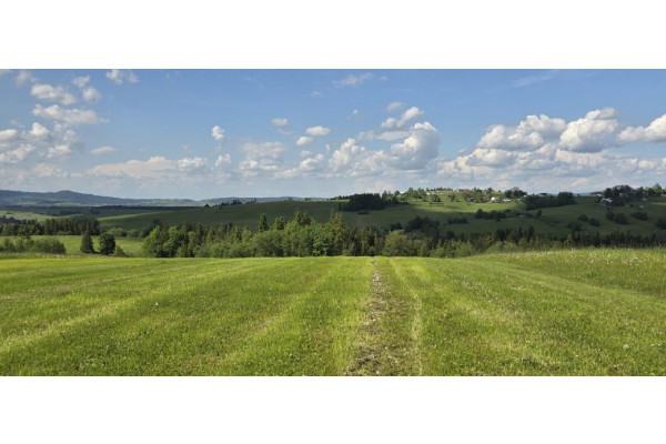 nowotarski, Czarny Dunajec, Czerwienne, Podhale działka budowlano - rolna