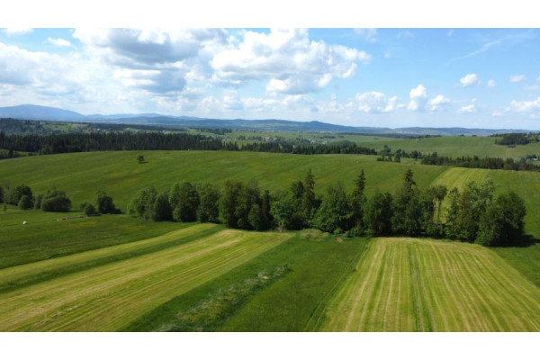 nowotarski, Czarny Dunajec, Czerwienne, Podhale działka budowlano - rolna