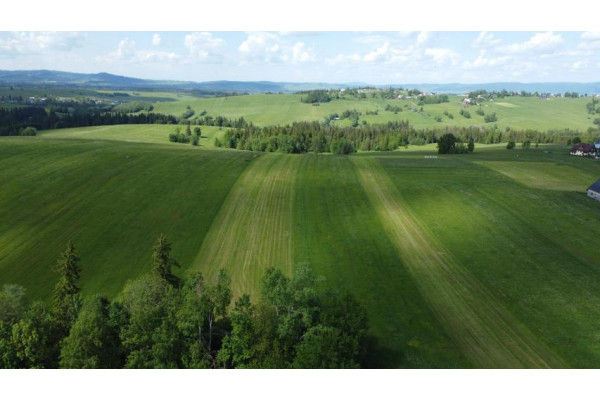 nowotarski, Czarny Dunajec, Czerwienne, Podhale działka budowlano - rolna