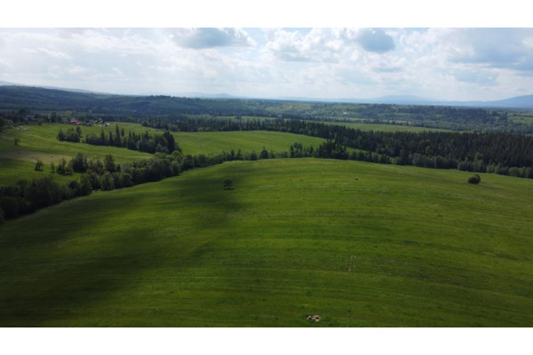 nowotarski, Czarny Dunajec, Czerwienne, Podhale działka budowlano - rolna