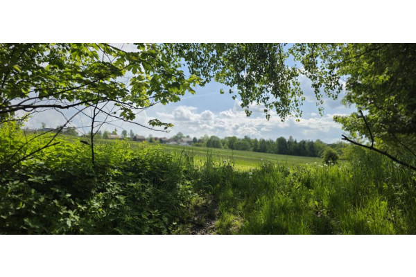 nowotarski, Czarny Dunajec, Czerwienne, Podhale działka budowlano - rolna
