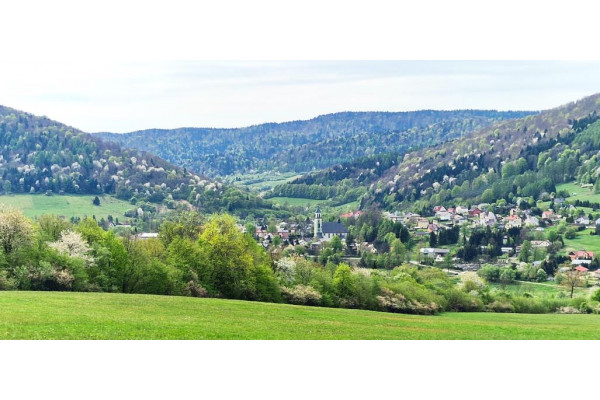 gorlicki, Uście Gorlickie, Na południu, budowlane 970 arów