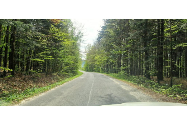 gorlicki, Uście Gorlickie, Na południu, budowlane 970 arów