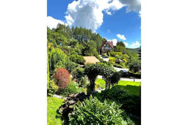 nowosądecki, Krynica-Zdrój, Krynica Zdrój budynek, dom, biznes