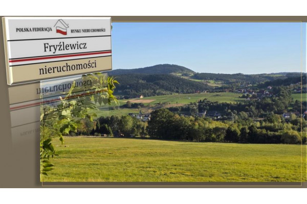 małopolskie, limanowski, Limanowa, Siekierczyna, Beskid Wyspowy, działka 88 ar