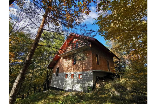 nowosądecki, Gródek nad Dunajcem, Tropie, dom w środku lasu, małopolska, między jeziorami