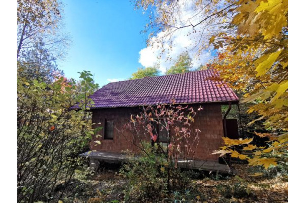 nowosądecki, Gródek nad Dunajcem, Tropie, dom w środku lasu, małopolska, między jeziorami